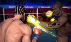 Царь бокса - Punch Boxing 3D