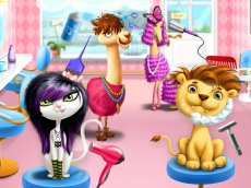 Animal Hair Salon