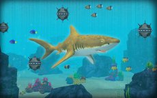 Shark Attack Simulator 3D