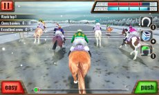 Скачки 3D - Horse Racing